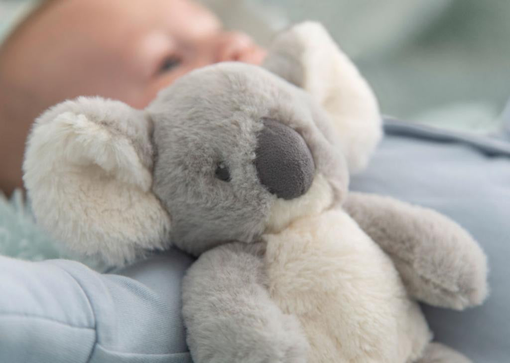 Koala Bear Teddy Small